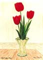 184_Tulip_Trio