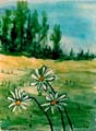 190_Daisy_Trio