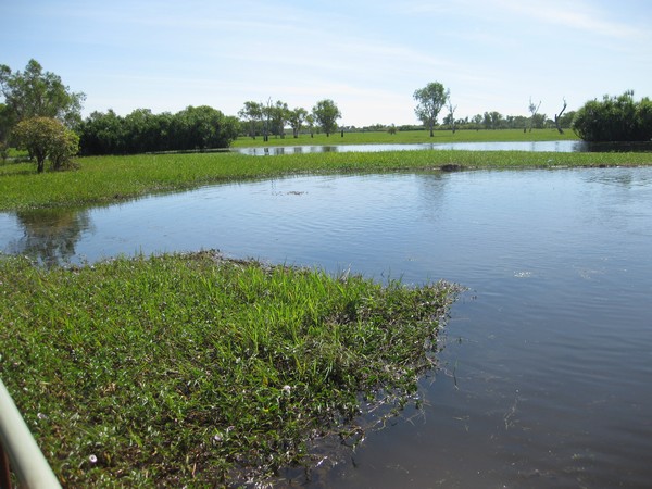 n_img_0133_yellow_water_billabong_in_the_dry_season.jpg