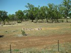 IMG_0603 Aboriginal grave yard.JPG