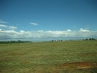 IMG_1143  A cattle station homestead.JPG