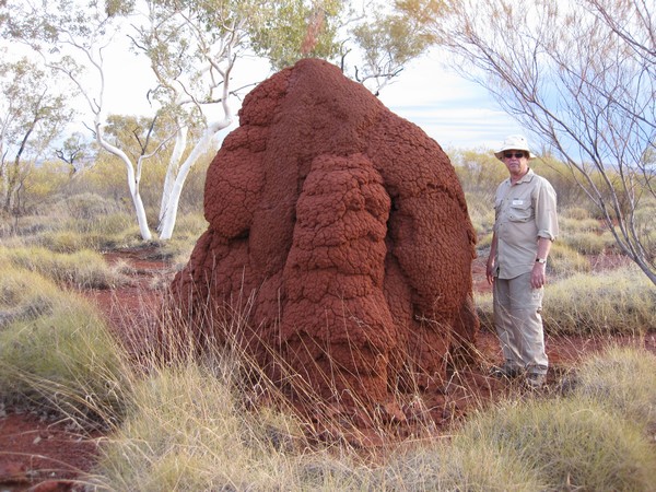 n_img_1526__termite_mound_and_bob.jpg