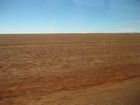 IMG_1463  Pilbara Region desert.JPG