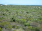 IMG_3185  Beach dunes are red.JPG