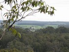 IMG_3632  Another view from the Gloucester tree.JPG