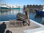 IMG_4280  Fremantle waterfront.JPG