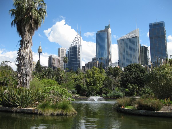 n_img_4464__sydney_royal_botanic_gardens_and_downtown.jpg