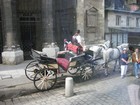 IMG_2645 Traditional Viennese transport.JPG