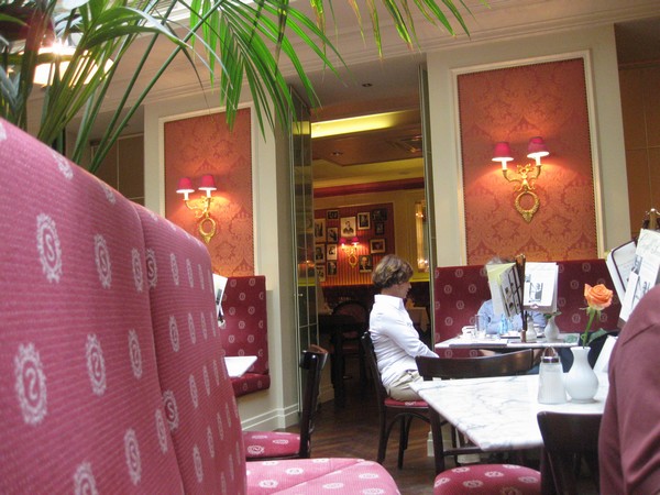 n_img_2690_the_sacher_cafe_in_graz.jpg