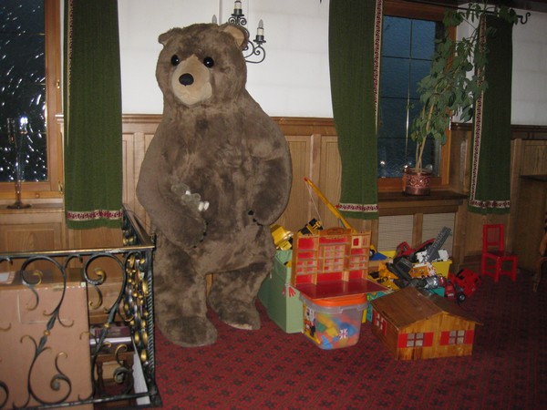 n_img_3086_the_bear_also_had_toys.jpg