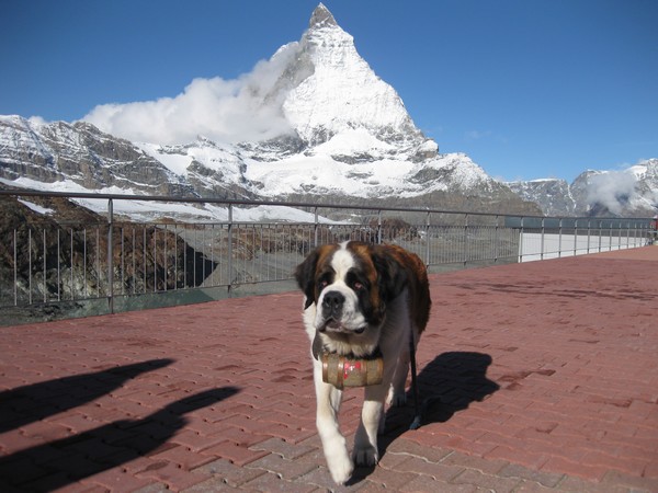 n_img_3434_nana_and_the_matterhorn.jpg