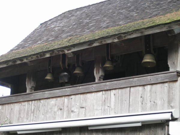 n_img_4077_special_occasion_cow_bells.jpg