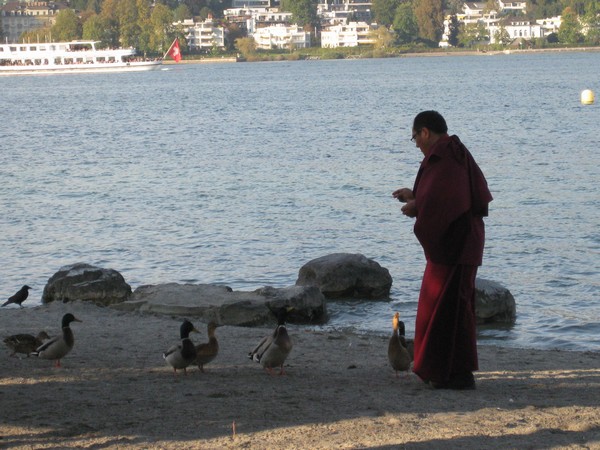 n_img_4216_a_monk_feeding_the_birds.jpg