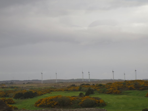 n_img_3596__connemara_windmill_farm.jpg