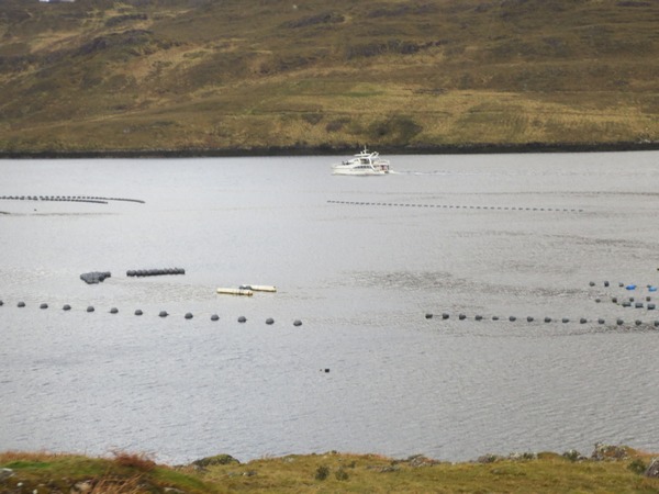 n_img_3633__killary_fjord_fish_farms.jpg