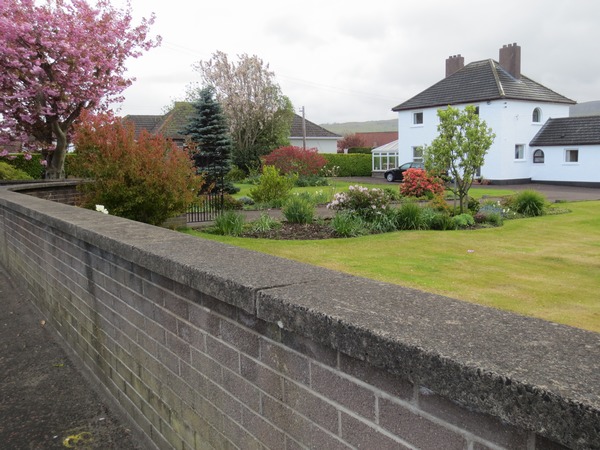 n_img_4076__springtime_colours_in_ballygally.jpg