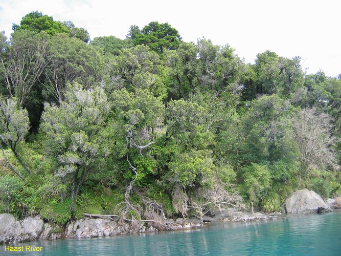 2007_03_28__2098_haast_river.jpg