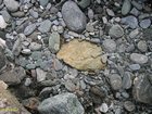 2007_03_28__2117_schist_rocks.jpg