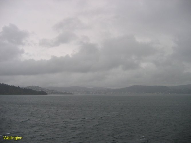 2007_04_04__2380_wellington.jpg