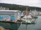 2007_04_04__2365_picton_harbour.jpg