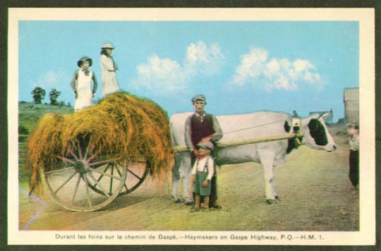 1920's haymakers_on_gaspehighway,quebec