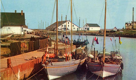 1960 fishing boats,bay de chaleur,gaspe, quebec