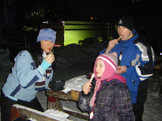 Quebec Carnival 2011 (14)