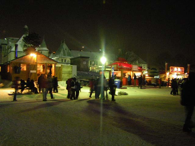 Quebec Carnival 2011 (17)