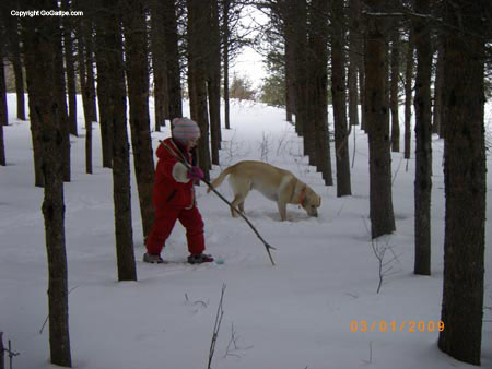 09_snowshoe_trail