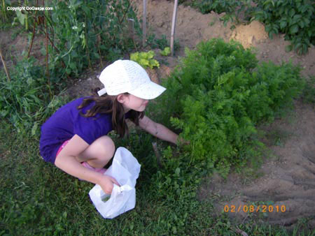 samantha,s garden