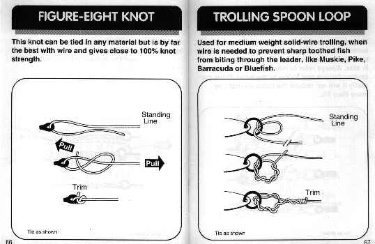 fishing knot diagram